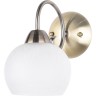 Бра ARTE LAMP MARGO A9317AP-1AB