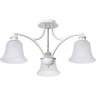 Люстра ARTE LAMP EMMA A2713PL-3WG