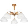 Люстра ARTE LAMP MATTHEW A5032PL-5BR