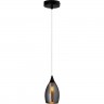 Подвесной светильник ARTE LAMP BARRY A7951SP-1BK