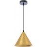 Подвесной светильник ARTE LAMP DAVID A7033SP-1BK