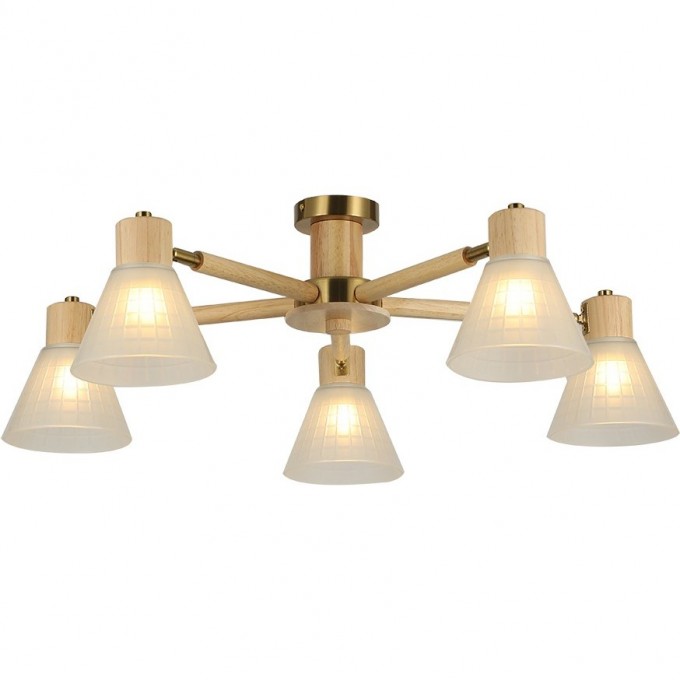 Потолочная люстра ARTE LAMP MELEPH A4096PL-5BR