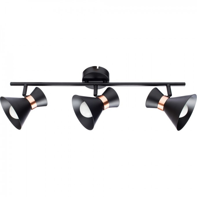 Спот ARTE LAMP BALTIMORE A1406PL-3BK