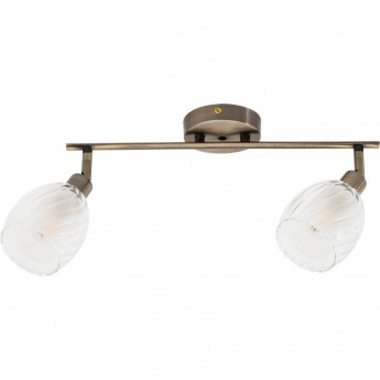 Спот ARTE LAMP BIHAM A3184PL-2AB