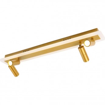 Спот ARTE LAMP TOMMY A2607PL-30GO Спот ARTE LAMP TOMMY A2607PL-30GO