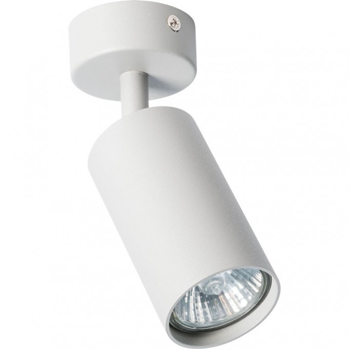 Светильник ARTE LAMP AQUARIUS A3216PL-1GY