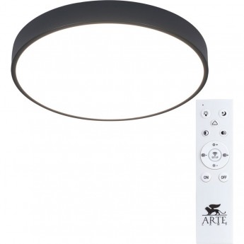 Светильник ARTE LAMP ARENA A2661PL-1BK