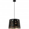 Светильник ARTE LAMP CELESTA A2768SP-1BK