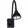 Светильник ARTE LAMP CERCARE A4107AP-1BK