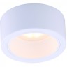 Светильник ARTE LAMP EFFETTO A5553PL-1WH