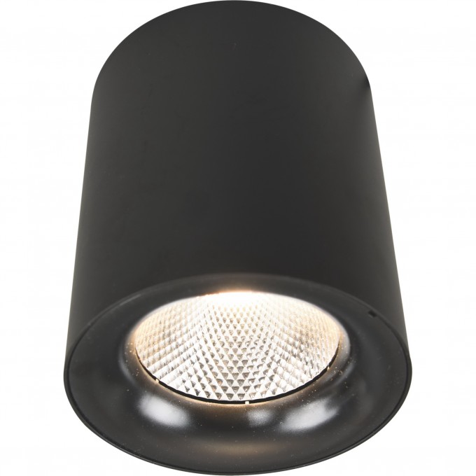 Светильник ARTE LAMP FACILE A5118PL-1BK