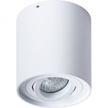 Светильник ARTE LAMP FALCON A5645PL-1WH