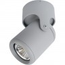 Светильник ARTE LAMP LIBRA A3316PL-1GY