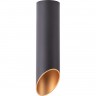 Светильник ARTE LAMP PILON-GOLD A1535PL-1BK