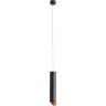 Светильник ARTE LAMP PILON-GOLD A1536SP-1BK