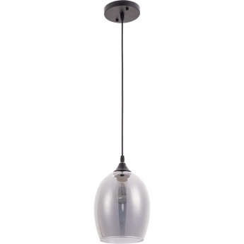 Светильник ARTE LAMP PROPUS A4344SP-1BK