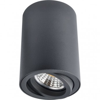 Светильник ARTE LAMP SENTRY A1560PL-1BK