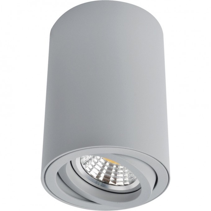 Светильник ARTE LAMP SENTRY A1560PL-1GY