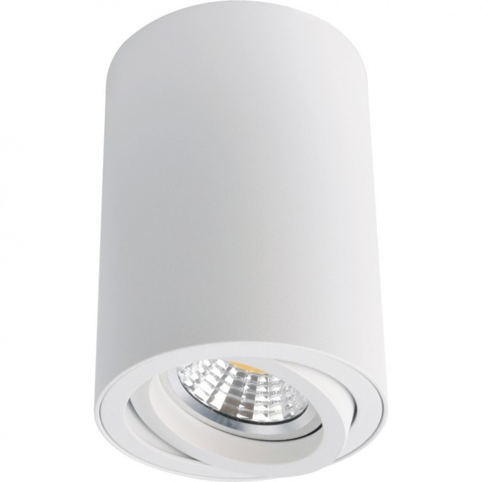 Светильник ARTE LAMP SENTRY A1560PL-1WH