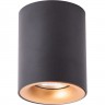 Светильник ARTE LAMP TORRE A1532PL-1BK