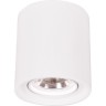 Светильник ARTE LAMP TUBO A9262PL-1WH