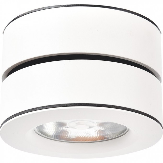 Светильник ARTE LAMP VELA A2511PL-1WH