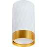 Светильник точечный ARTE LAMP FANG A5558PL-1WH