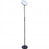 Торшер ARTE LAMP SCEPTRUM A1822PN-1BK