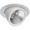 Встраиваемый светильник ARTE LAMP CARDANI A1212PL-1WH